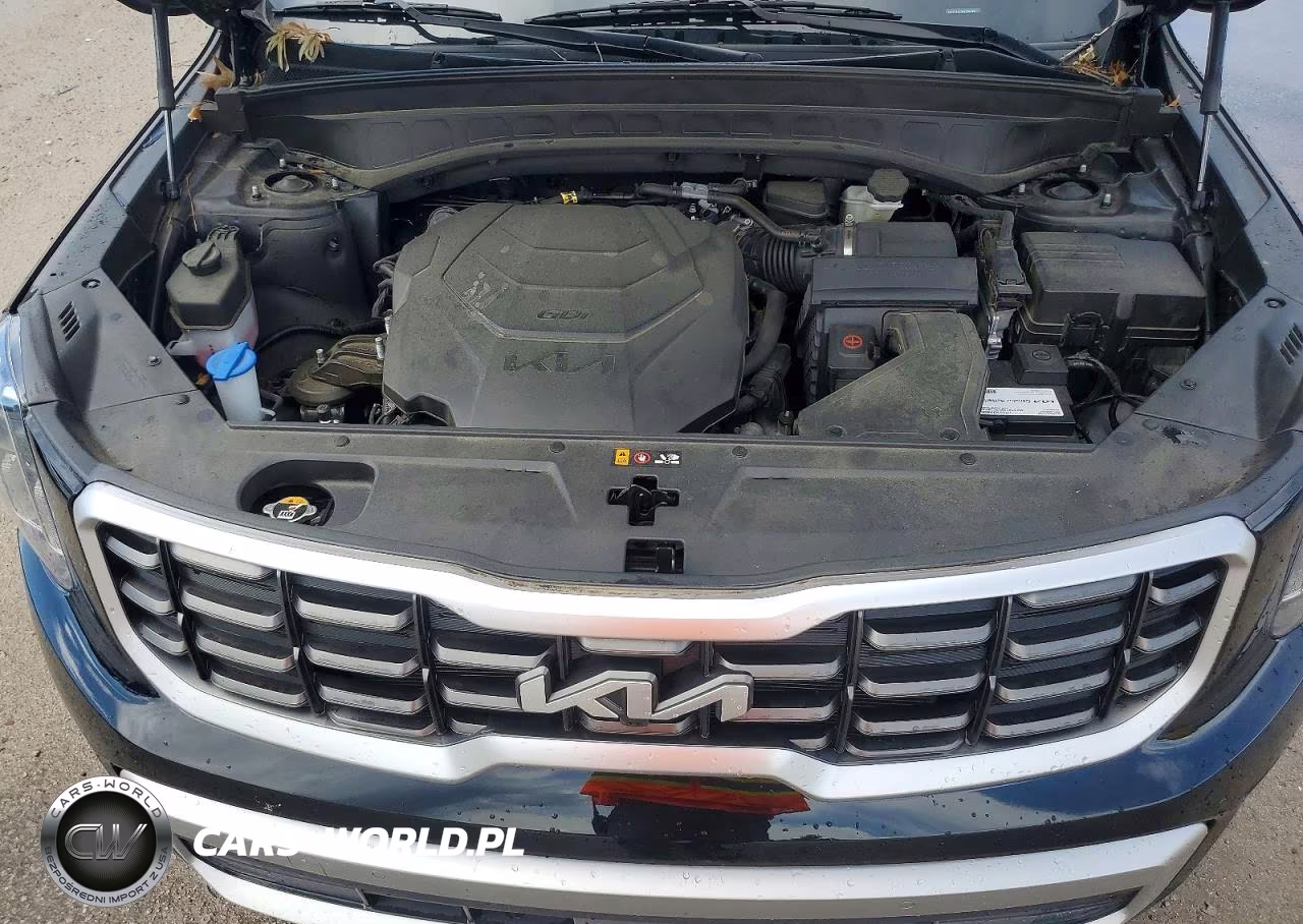 2023 Kia Telluride Sx VIN:5XYP54GC6PG370493 - 12