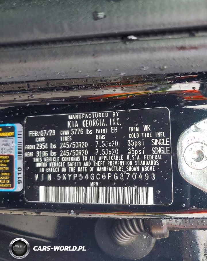 2023 Kia Telluride Sx VIN:5XYP54GC6PG370493 - 13