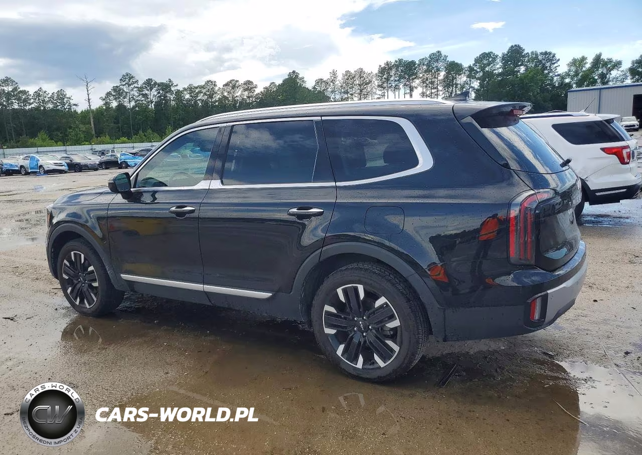 2023 Kia Telluride Sx VIN:5XYP54GC6PG370493 - 2