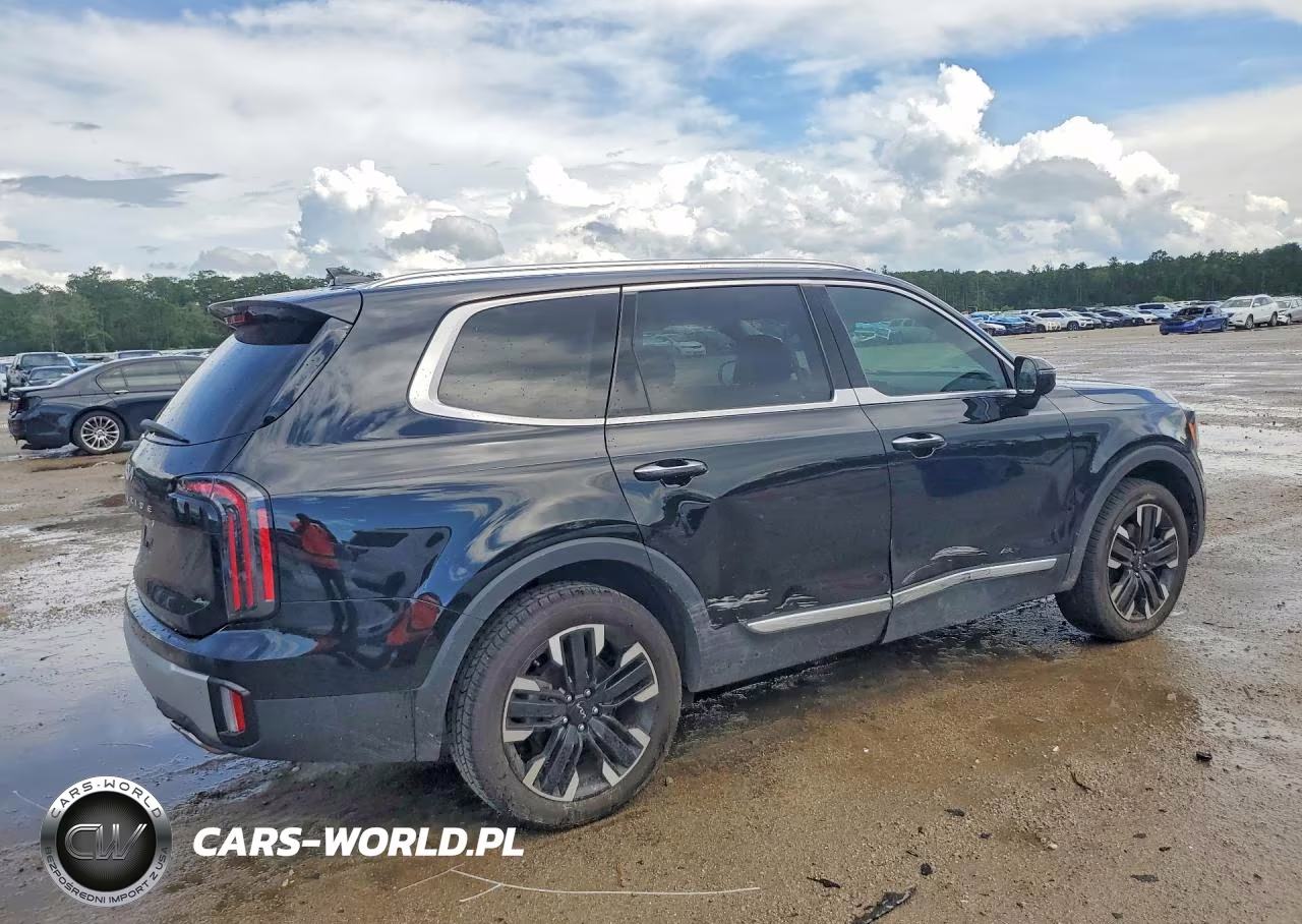 2023 Kia Telluride Sx VIN:5XYP54GC6PG370493 - 3