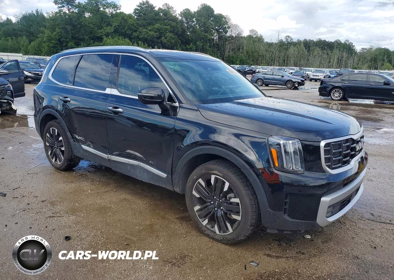 2023 Kia Telluride Sx VIN:5XYP54GC6PG370493 - 4