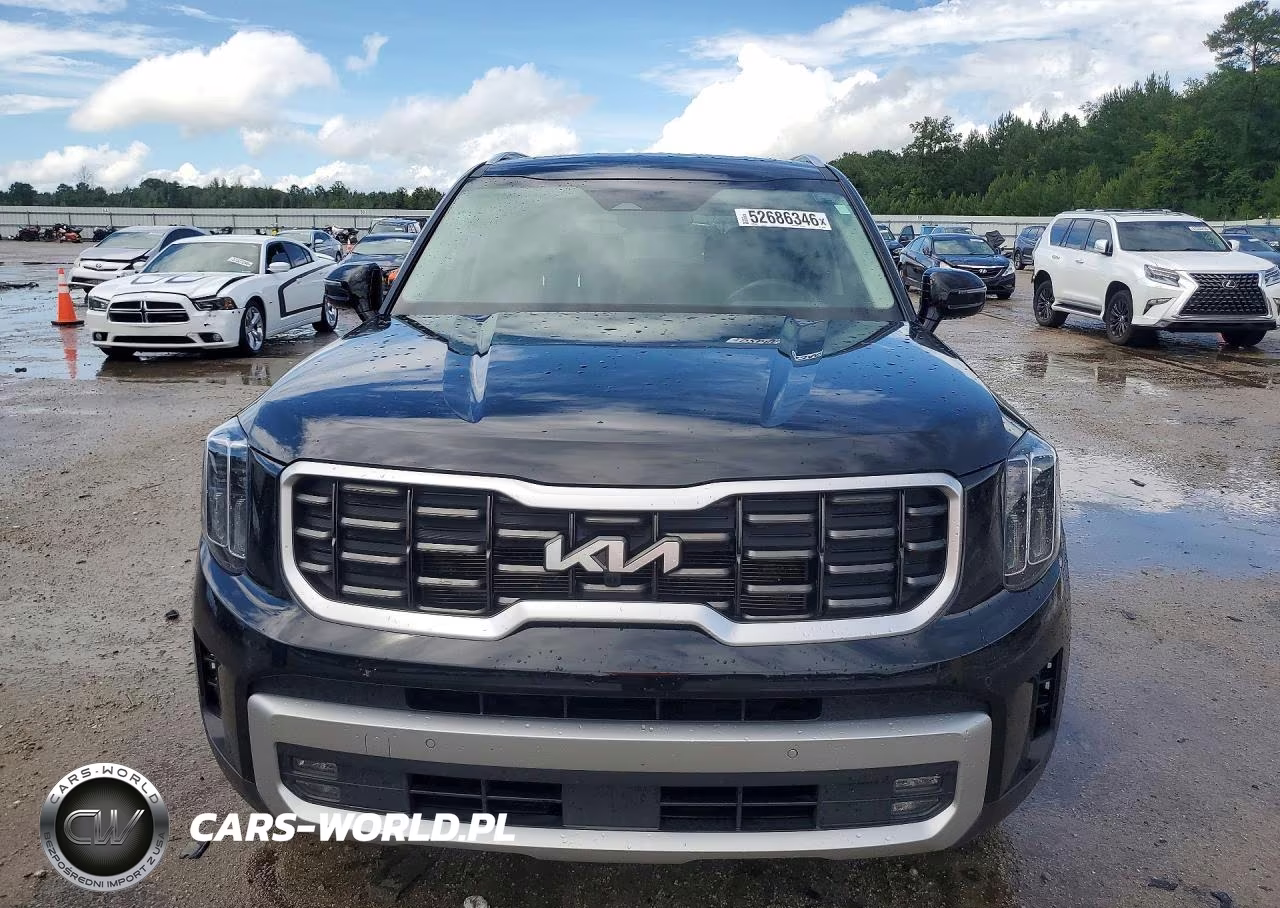 2023 Kia Telluride Sx VIN:5XYP54GC6PG370493 - 5