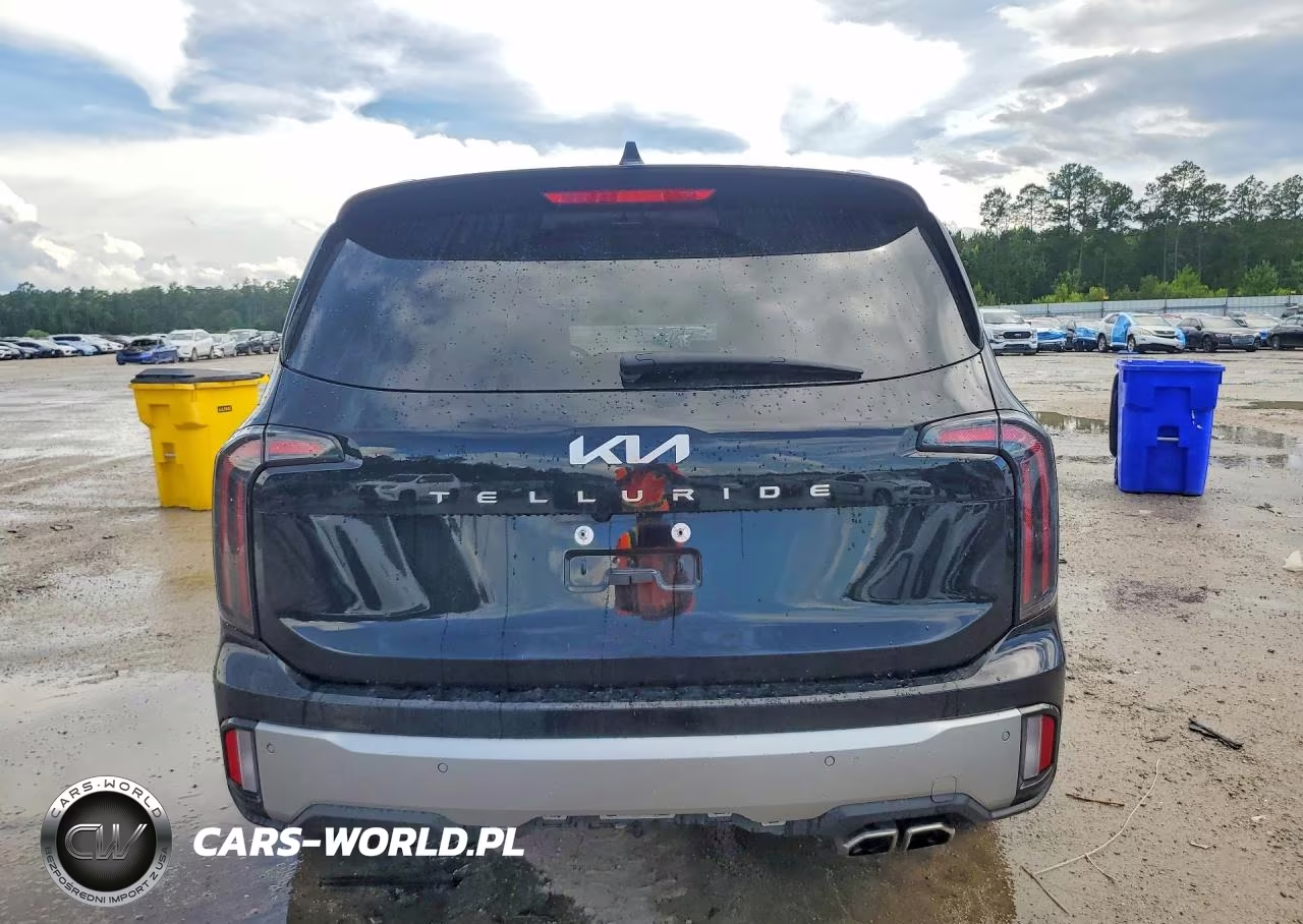 2023 Kia Telluride Sx VIN:5XYP54GC6PG370493 - 6