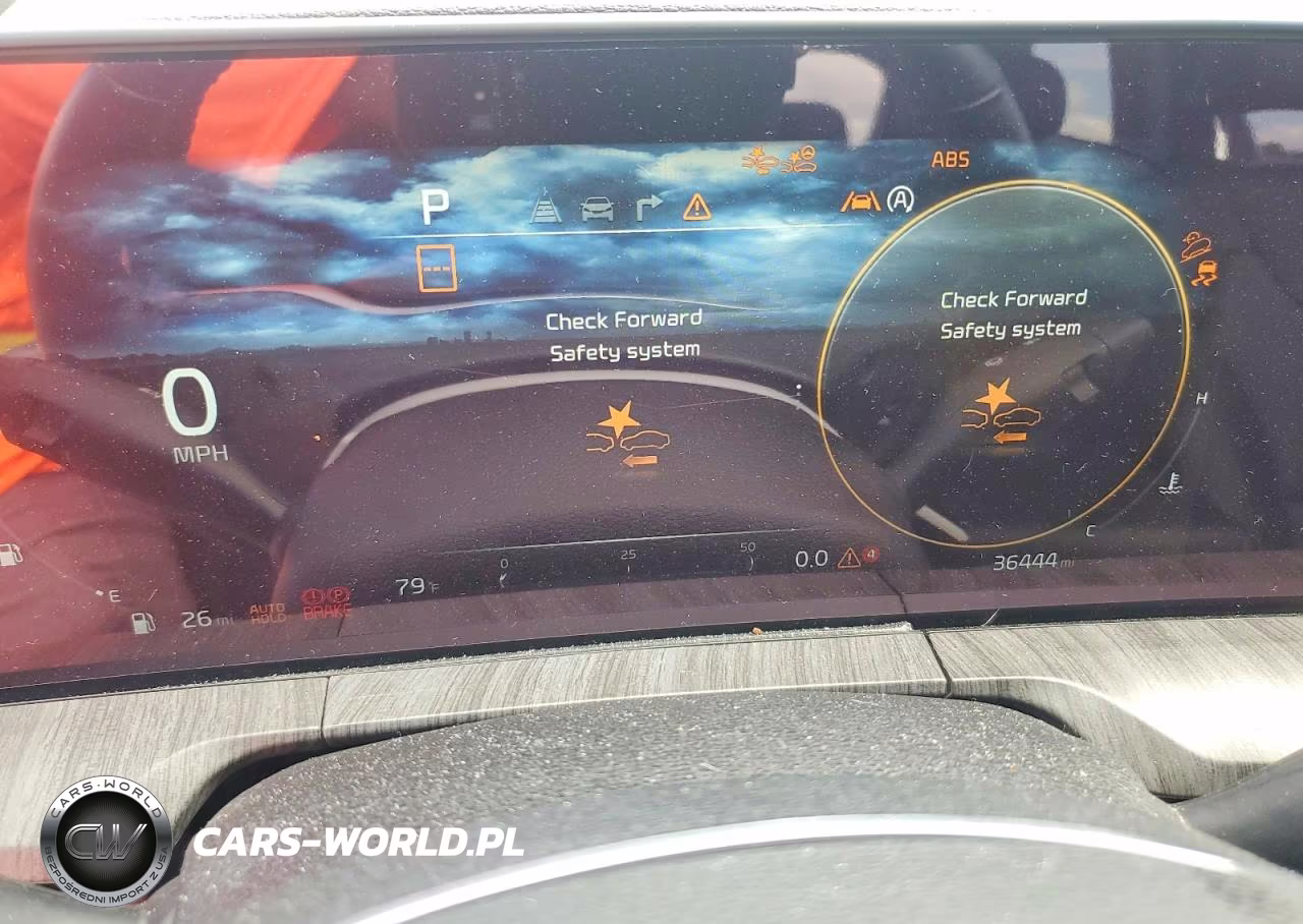 2023 Kia Telluride Sx VIN:5XYP54GC6PG370493 - 9