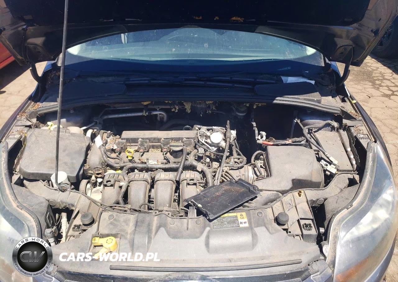 2013 Ford Focus Titanium VIN:1FADP3N27DL103466 - 11