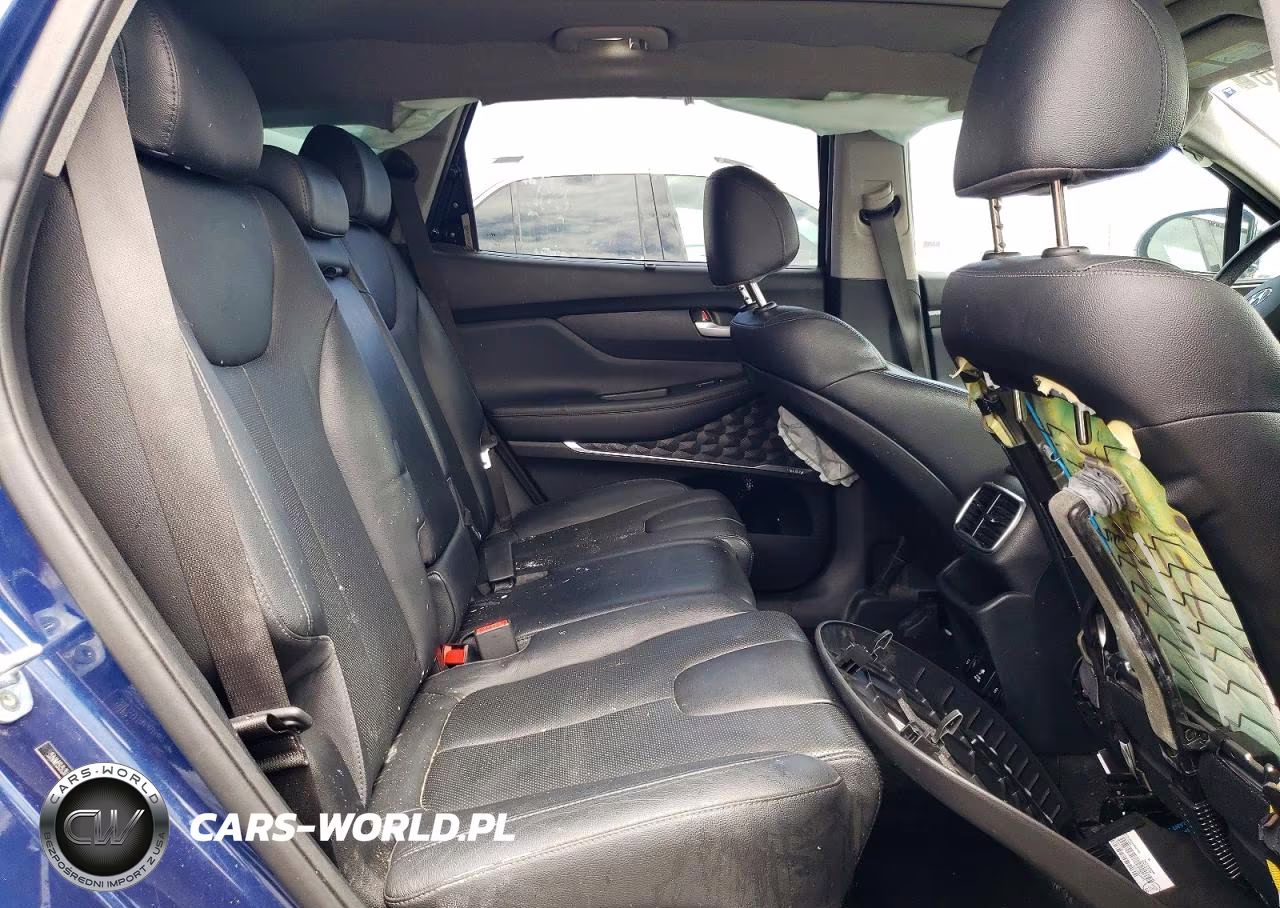 2019 Hyundai Santa Fe Ultimate 2.0T VIN:5NMS53AA9KH038462 - 10