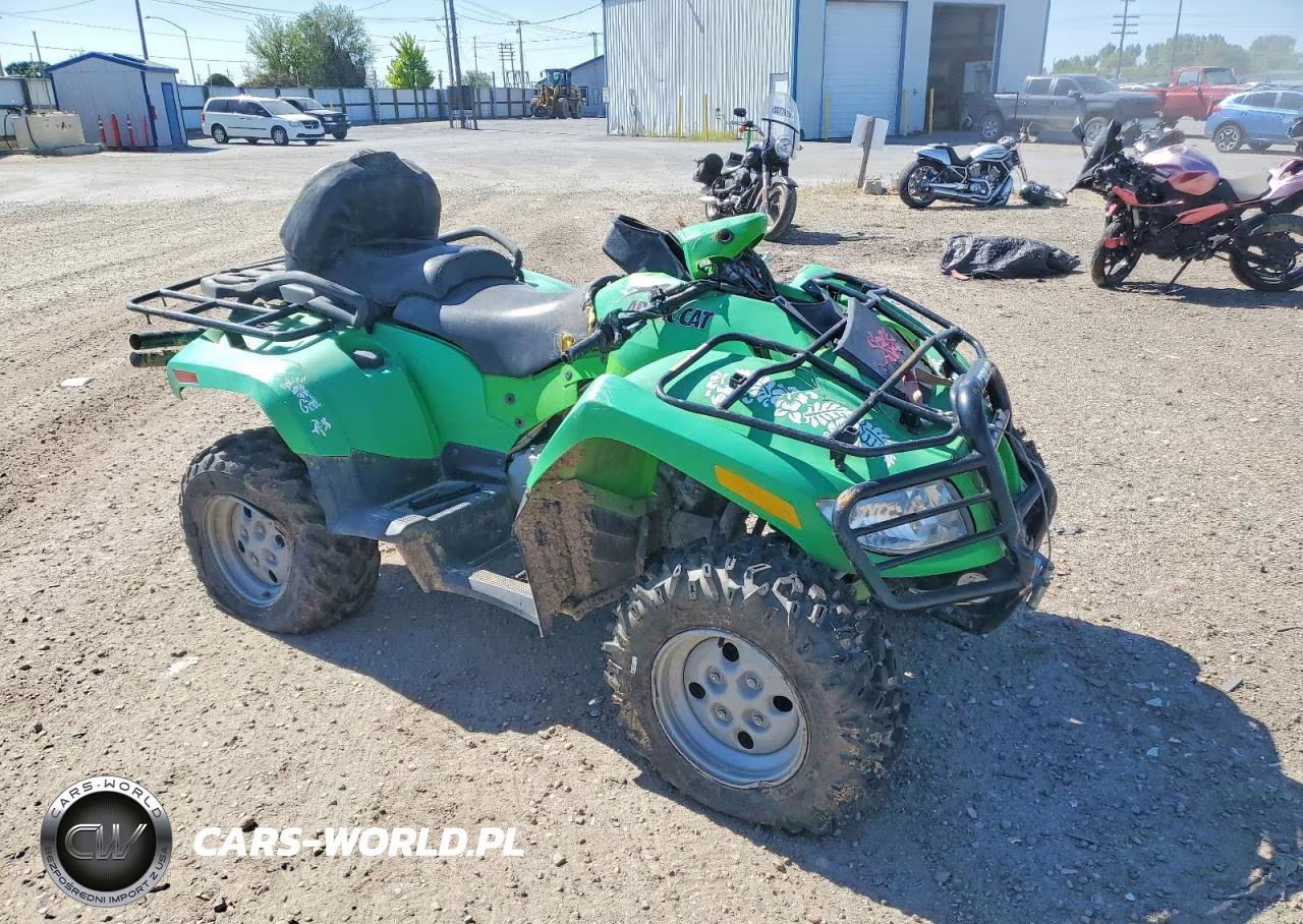2008 Arctic Cat Atv – zdjęcie 1 z 10