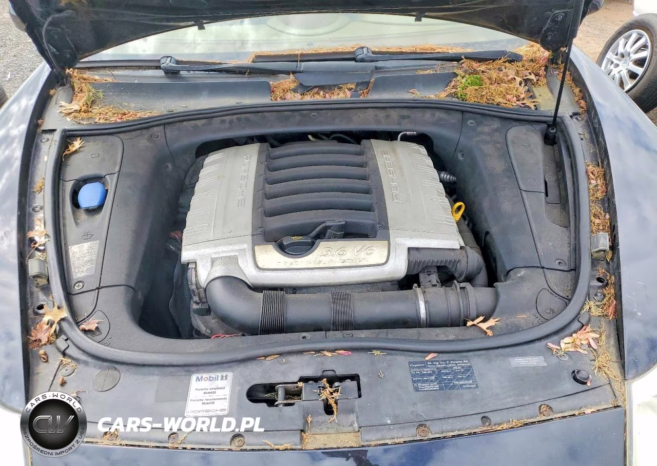 2008 Porsche Cayenne VIN:WP1AA29P38LA23763 - 12