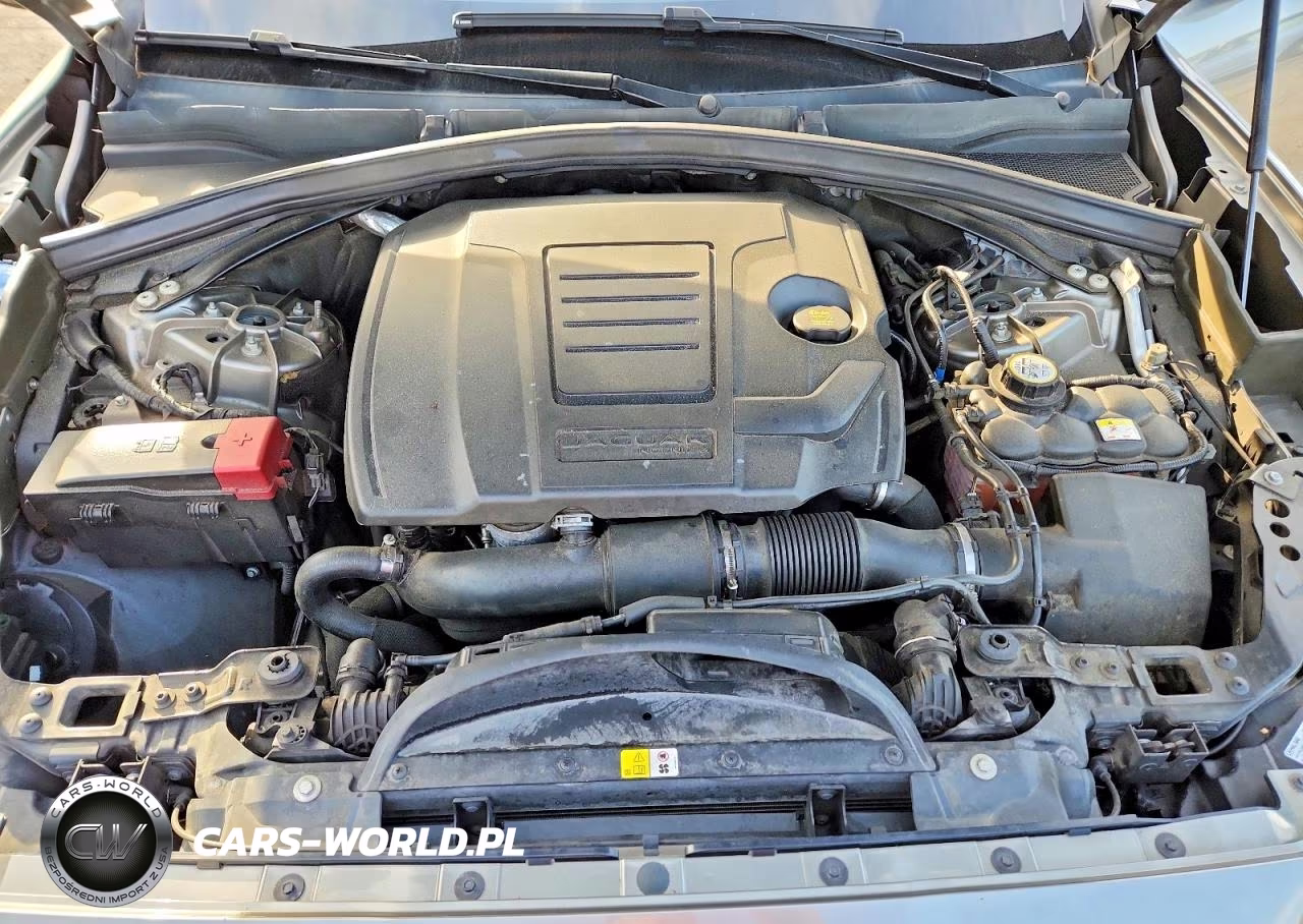 2019 Jaguar F-Pace Premium VIN:SADCJ2FX4KA609569 - 12