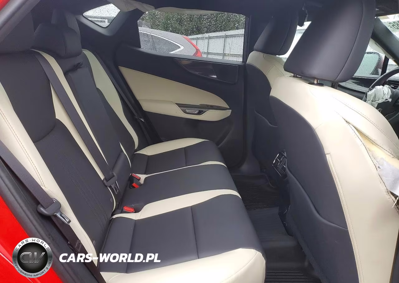 2024 Lexus Nx 250 Base VIN:2T2ADCAZ9RC012220 - 10