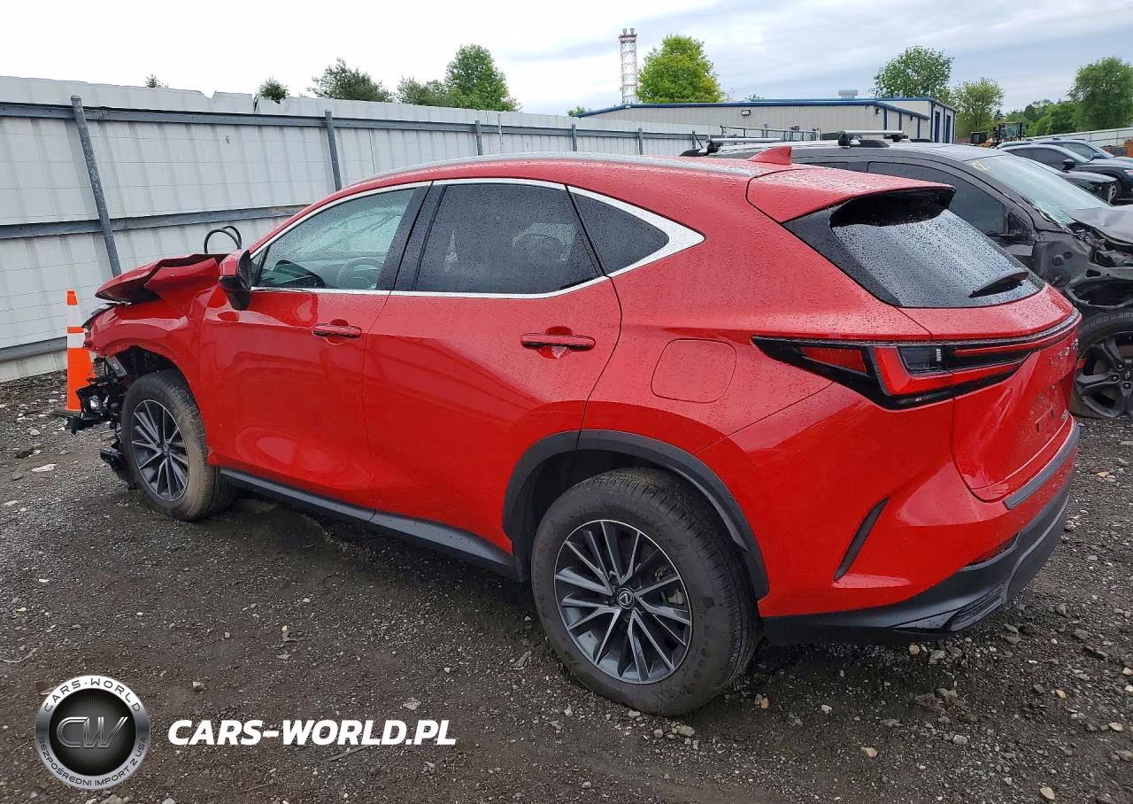 2024 Lexus Nx 250 Base VIN:2T2ADCAZ9RC012220 - 2