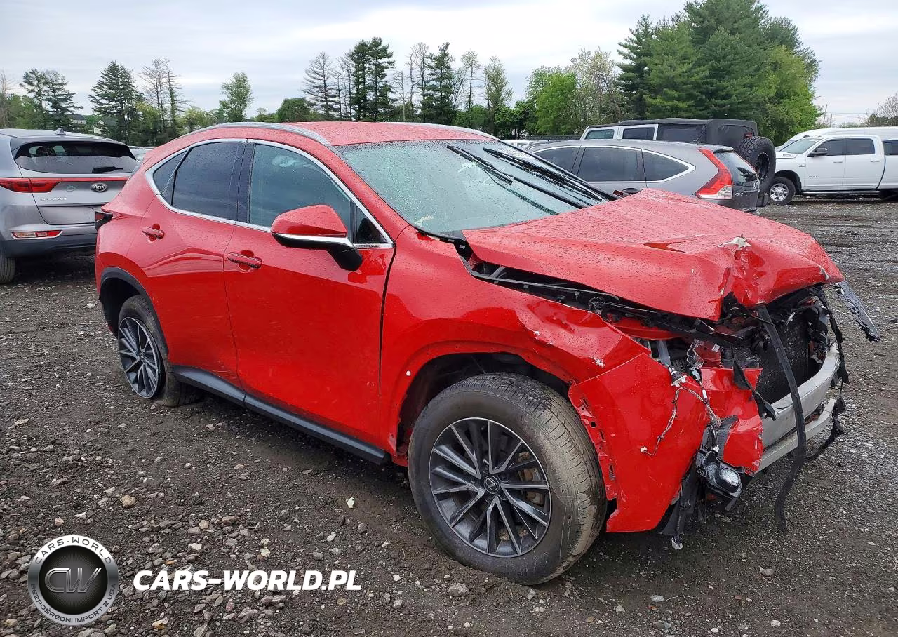 2024 Lexus Nx 250 Base VIN:2T2ADCAZ9RC012220 - 4