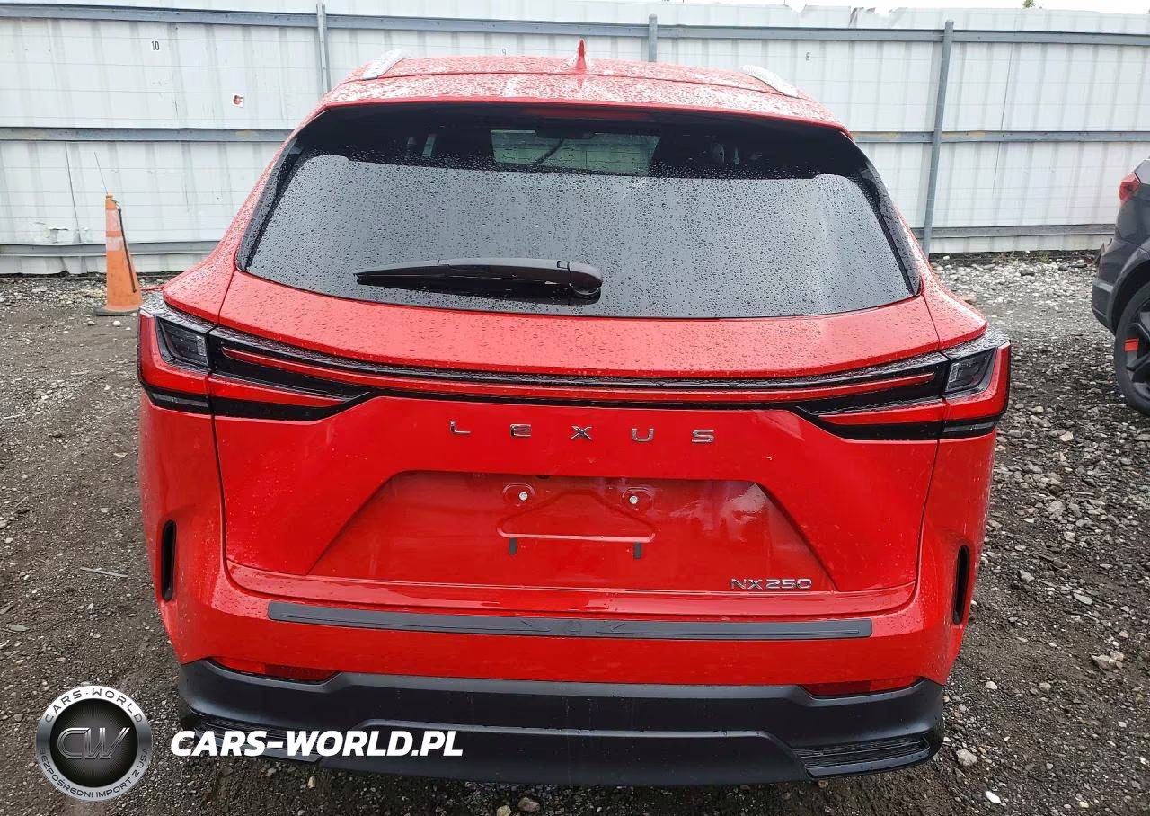 2024 Lexus Nx 250 Base VIN:2T2ADCAZ9RC012220 - 6
