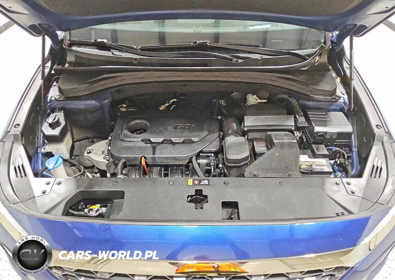 2020 Hyundai Santa Fe Limited VIN:5NMS53AD7LH275897 - 12