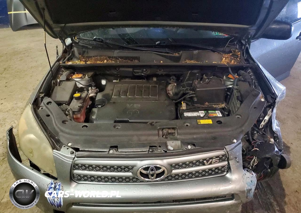 2006 Toyota Rav4 Base VIN:JTMZK33V966000465 - 12