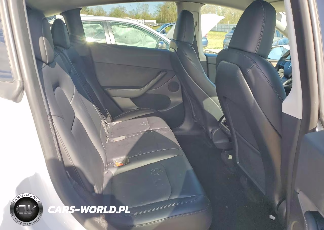 2023 Tesla Model Y VIN:7SAYGDEE3PF700829 - 10