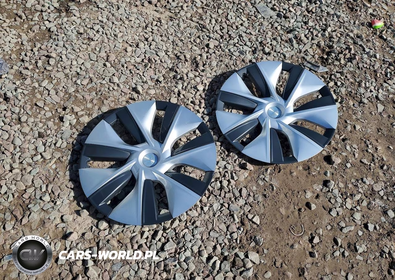 2023 Tesla Model Y VIN:7SAYGDEE3PF700829 - 12