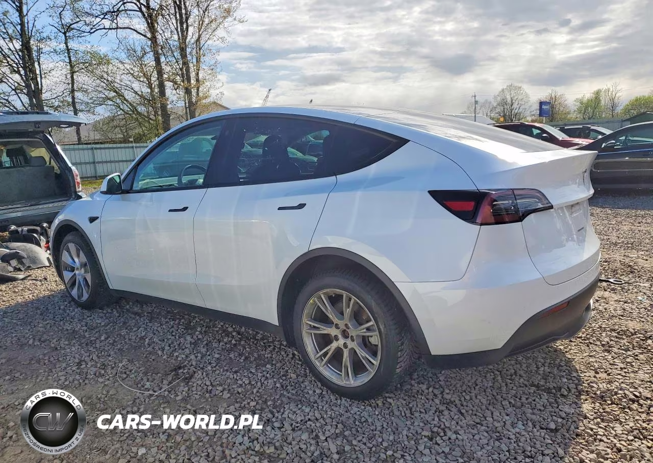 2023 Tesla Model Y VIN:7SAYGDEE3PF700829 - 2