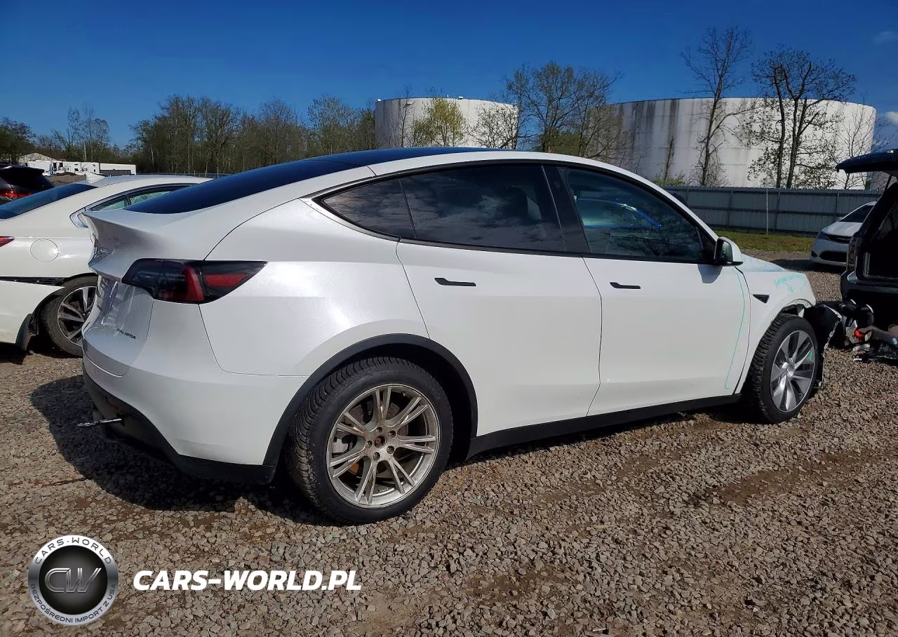 2023 Tesla Model Y VIN:7SAYGDEE3PF700829 - 3