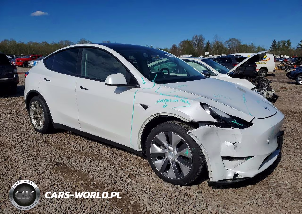 2023 Tesla Model Y VIN:7SAYGDEE3PF700829 - 4