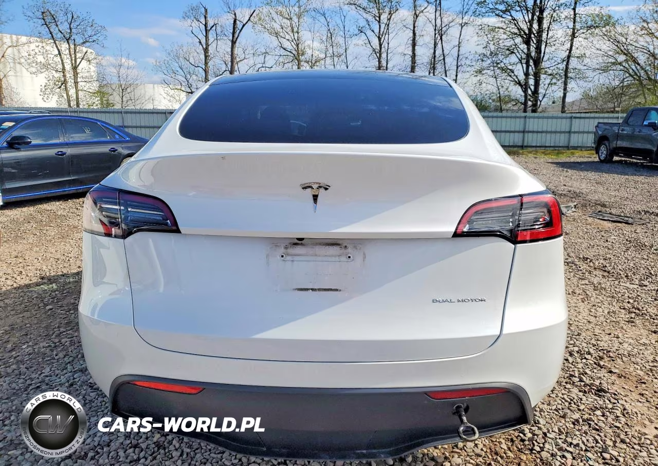 2023 Tesla Model Y VIN:7SAYGDEE3PF700829 - 6