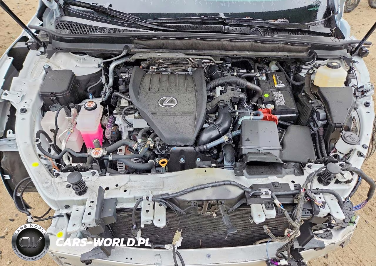 2024 Lexus Rx 350 Premium+ VIN:2T2BAMCA0RC084840 - 12