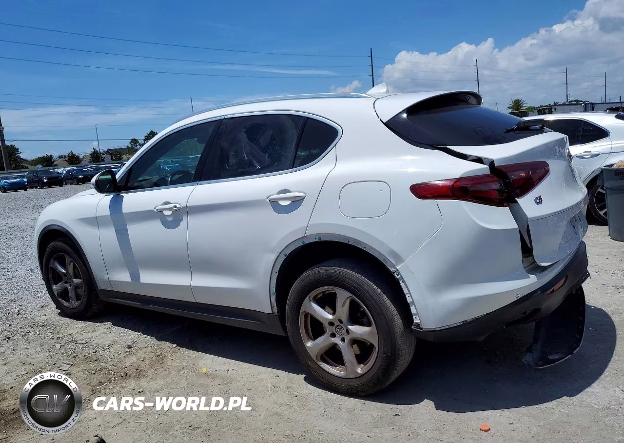 2019 Alfa Romeo Stelvio VIN:ZASPAKAN8K7C49780 - 2