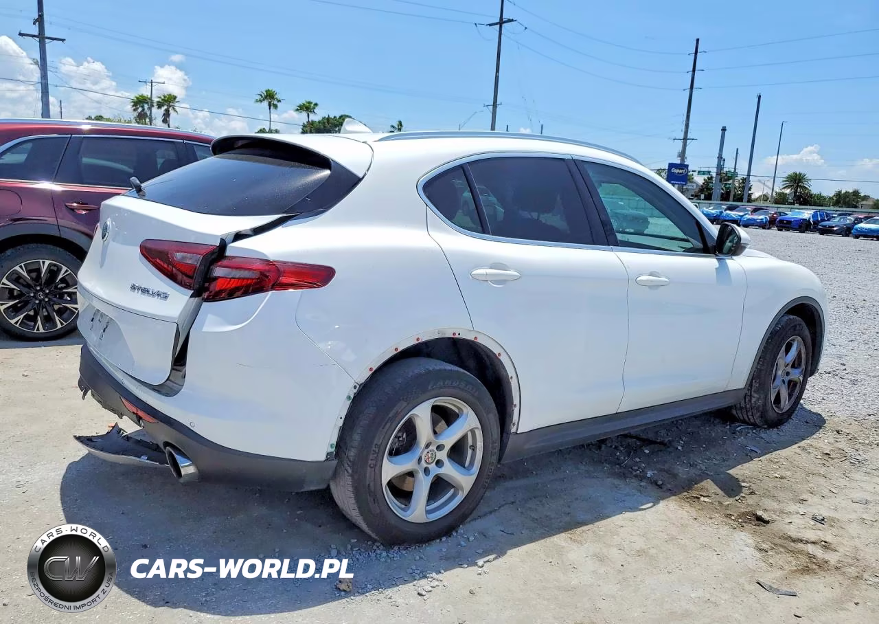 2019 Alfa Romeo Stelvio VIN:ZASPAKAN8K7C49780 - 3