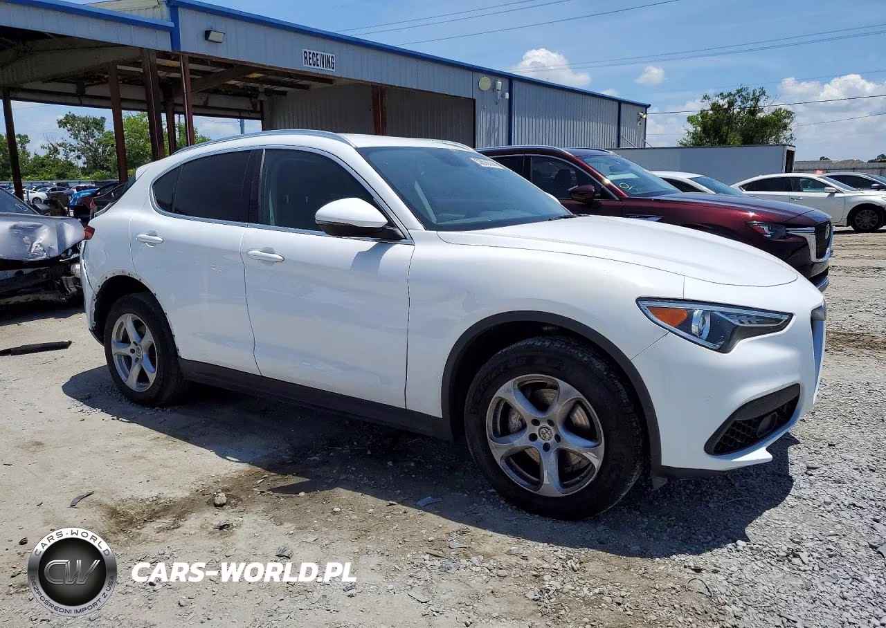 2019 Alfa Romeo Stelvio VIN:ZASPAKAN8K7C49780 - 4