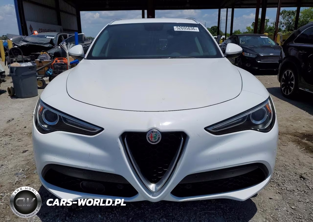 2019 Alfa Romeo Stelvio VIN:ZASPAKAN8K7C49780 - 5
