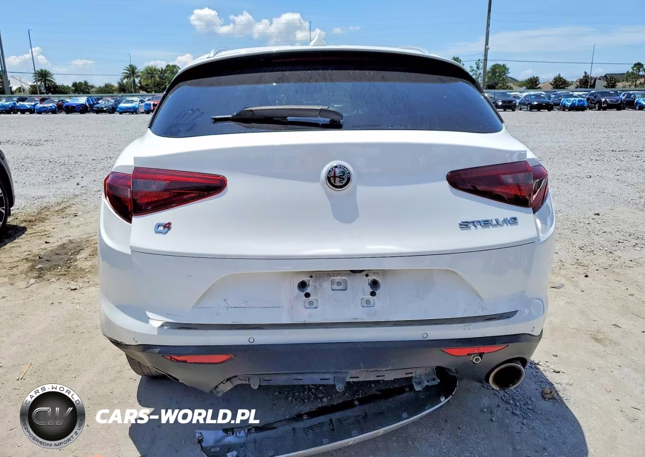 2019 Alfa Romeo Stelvio VIN:ZASPAKAN8K7C49780 - 6