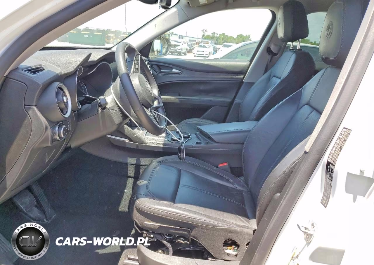 2019 Alfa Romeo Stelvio VIN:ZASPAKAN8K7C49780 - 7