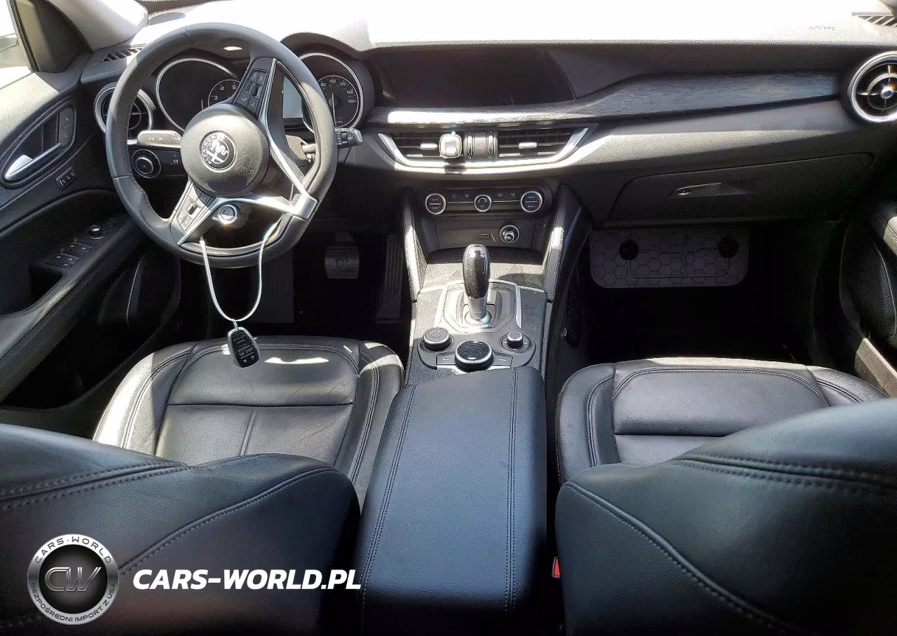 2019 Alfa Romeo Stelvio VIN:ZASPAKAN8K7C49780 - 8