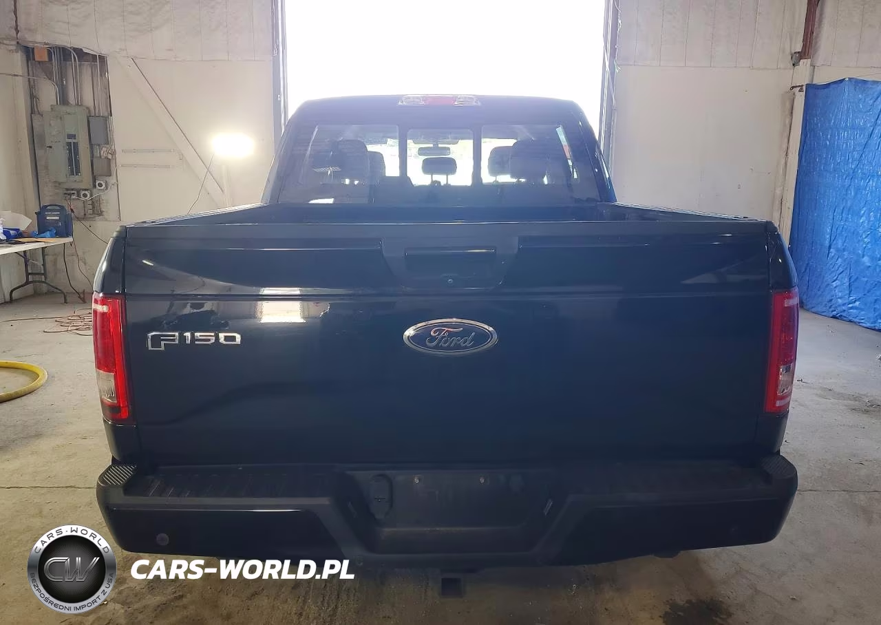 2016 Ford F150 Supercrew VIN:1FTEW1EPXGFB82507 - 6