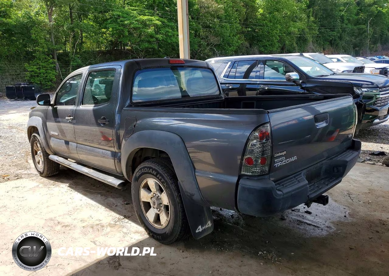 2009 Toyota Tacoma Double Cab VIN:3TMLU42N39M029939 - 2