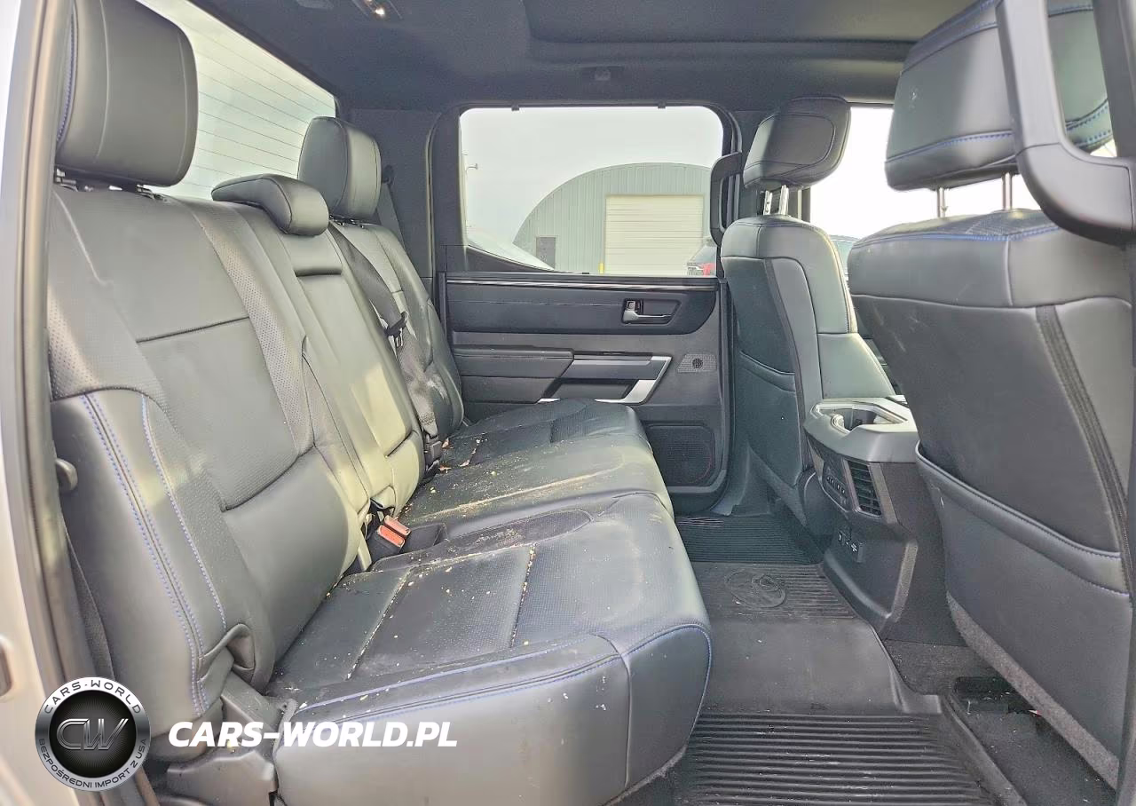 2022 Toyota Tundra Platinum VIN:5TFNA5DB4NX033593 - 10