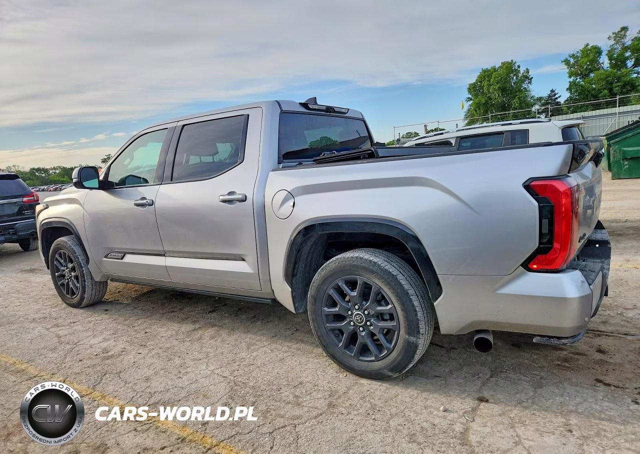 2022 Toyota Tundra Platinum VIN:5TFNA5DB4NX033593 - 2