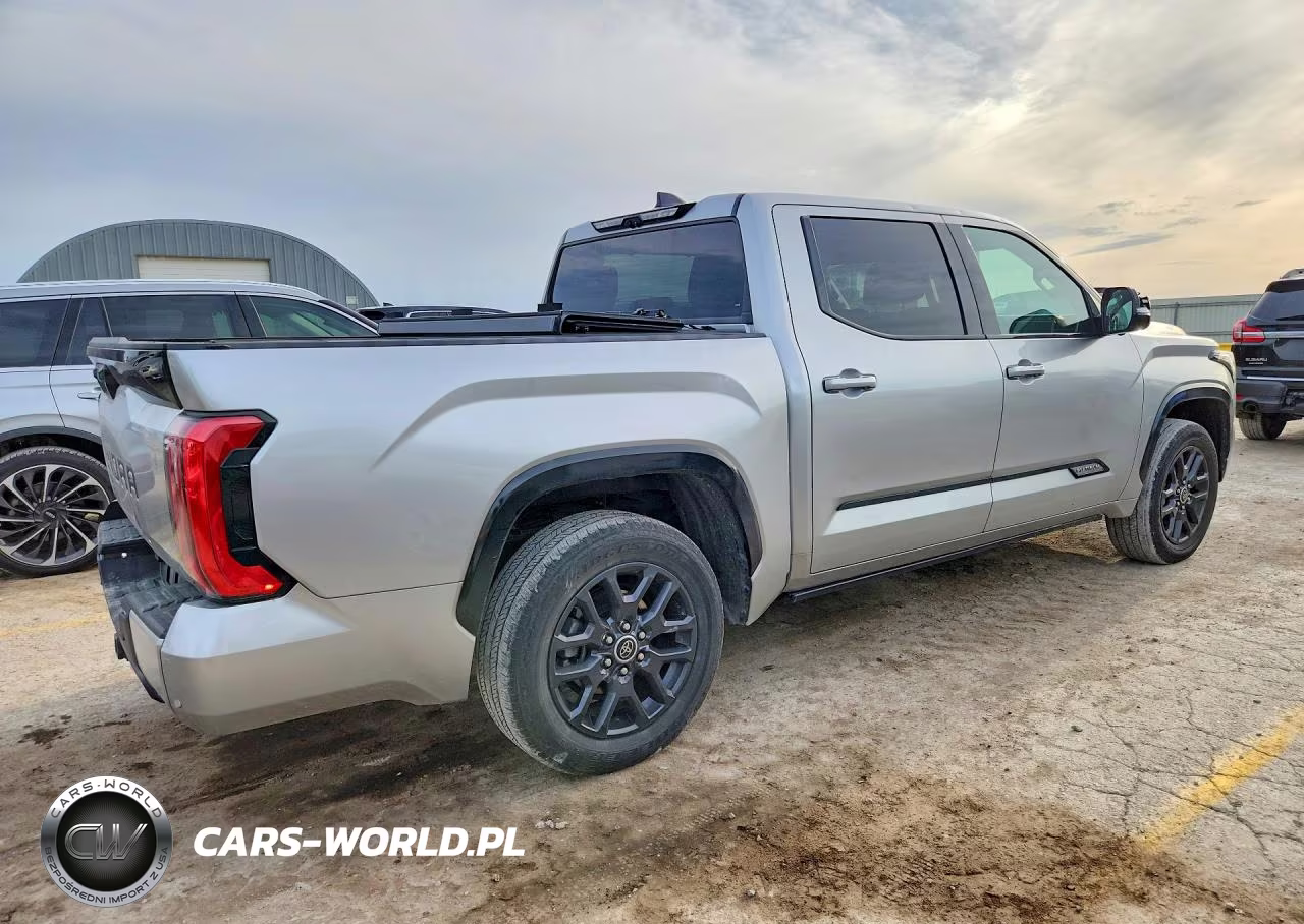 2022 Toyota Tundra Platinum VIN:5TFNA5DB4NX033593 - 3