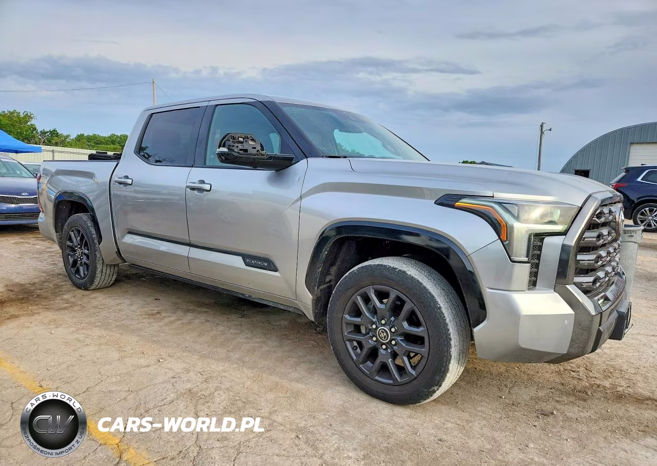 2022 Toyota Tundra Platinum VIN:5TFNA5DB4NX033593 - 4