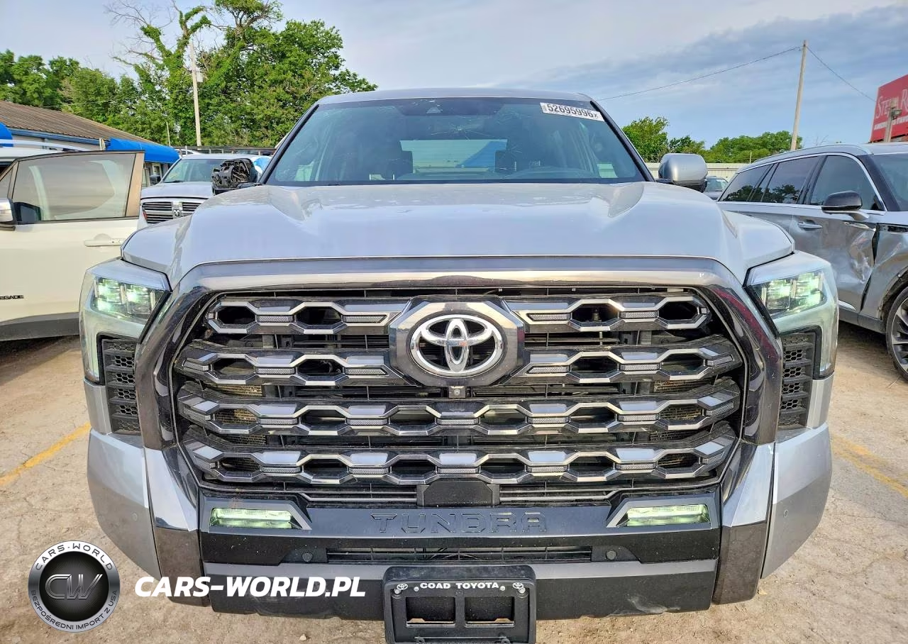 2022 Toyota Tundra Platinum VIN:5TFNA5DB4NX033593 - 5
