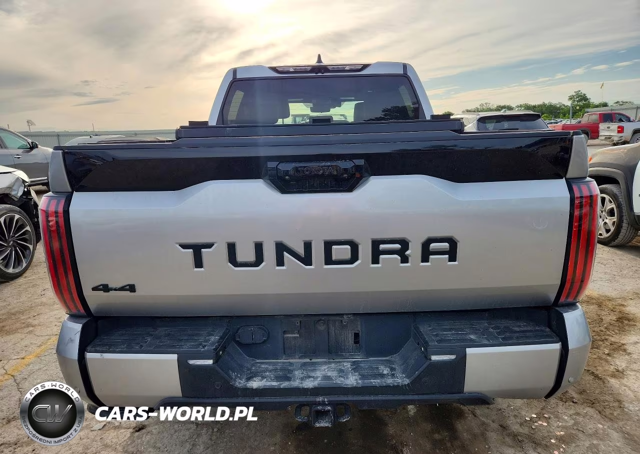 2022 Toyota Tundra Platinum VIN:5TFNA5DB4NX033593 - 6