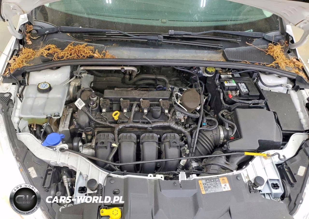 2016 Ford Focus Se VIN:1FADP3K25GL204725 - 11