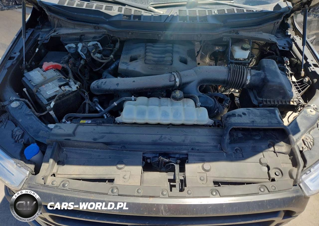 2022 Ford F150 Supercrew VIN:1FTFW1E87NKD97876 - 11