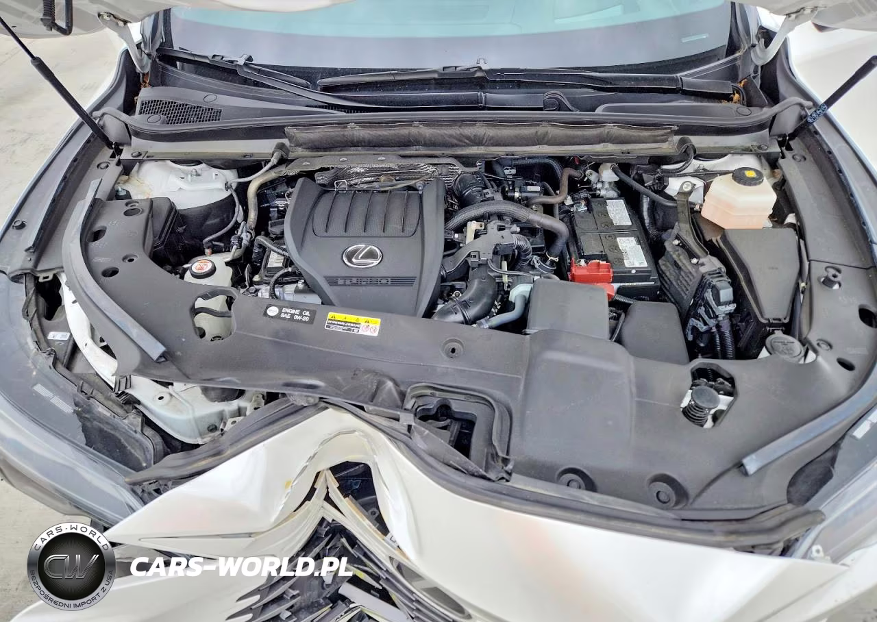 2024 Lexus Rx 350 Luxury VIN:2T2BAMBA3RC034449 - 12