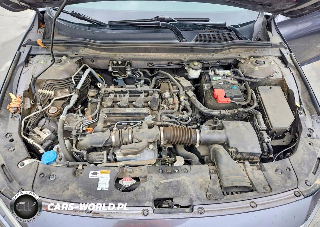 2019 Honda Accord Lx VIN:1HGCV1F18KA004347 - 11