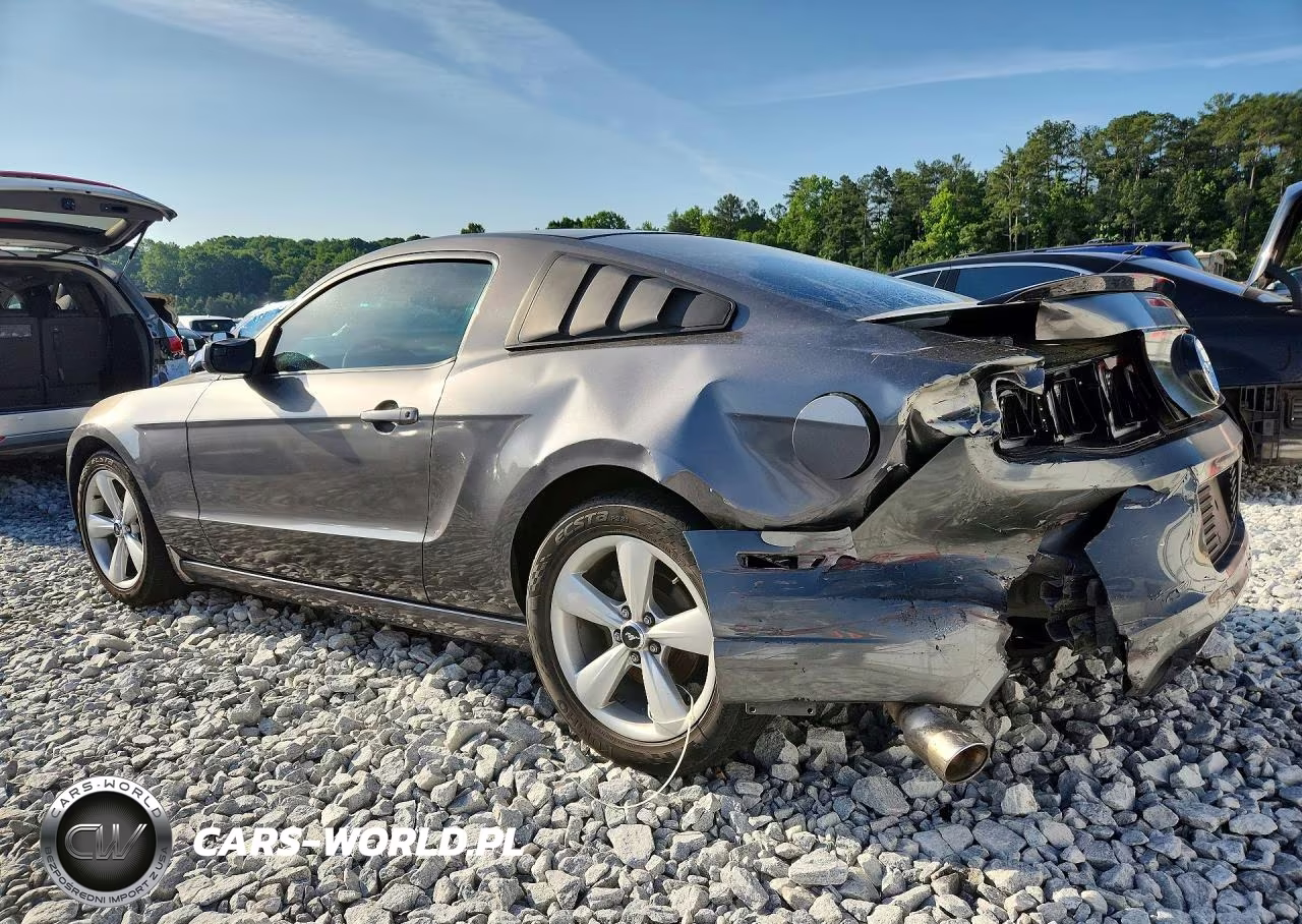 2014 Ford Mustang VIN:1ZVBP8AMXE5276827 - 2