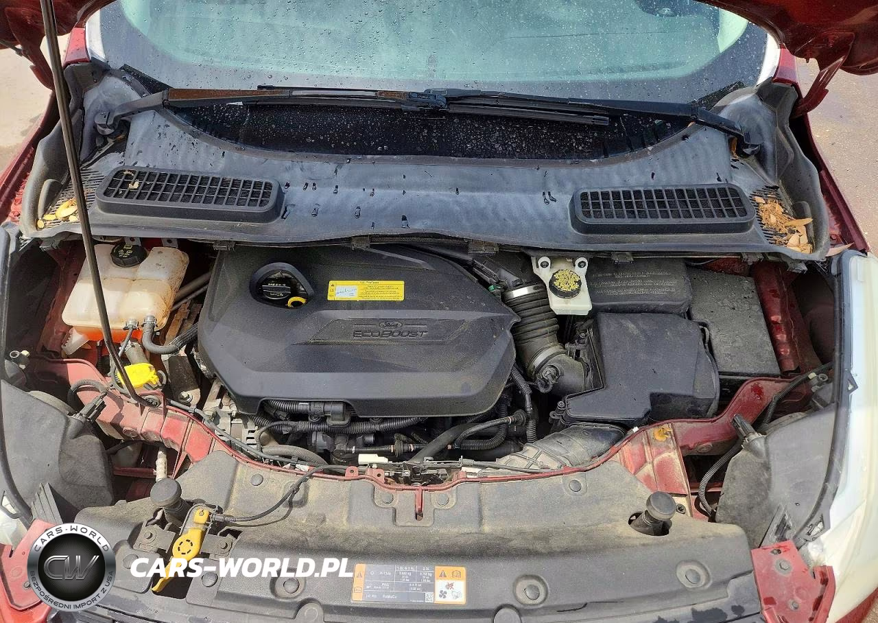 2014 Ford Escape Se VIN:1FMCU0GX7EUD22280 - 12