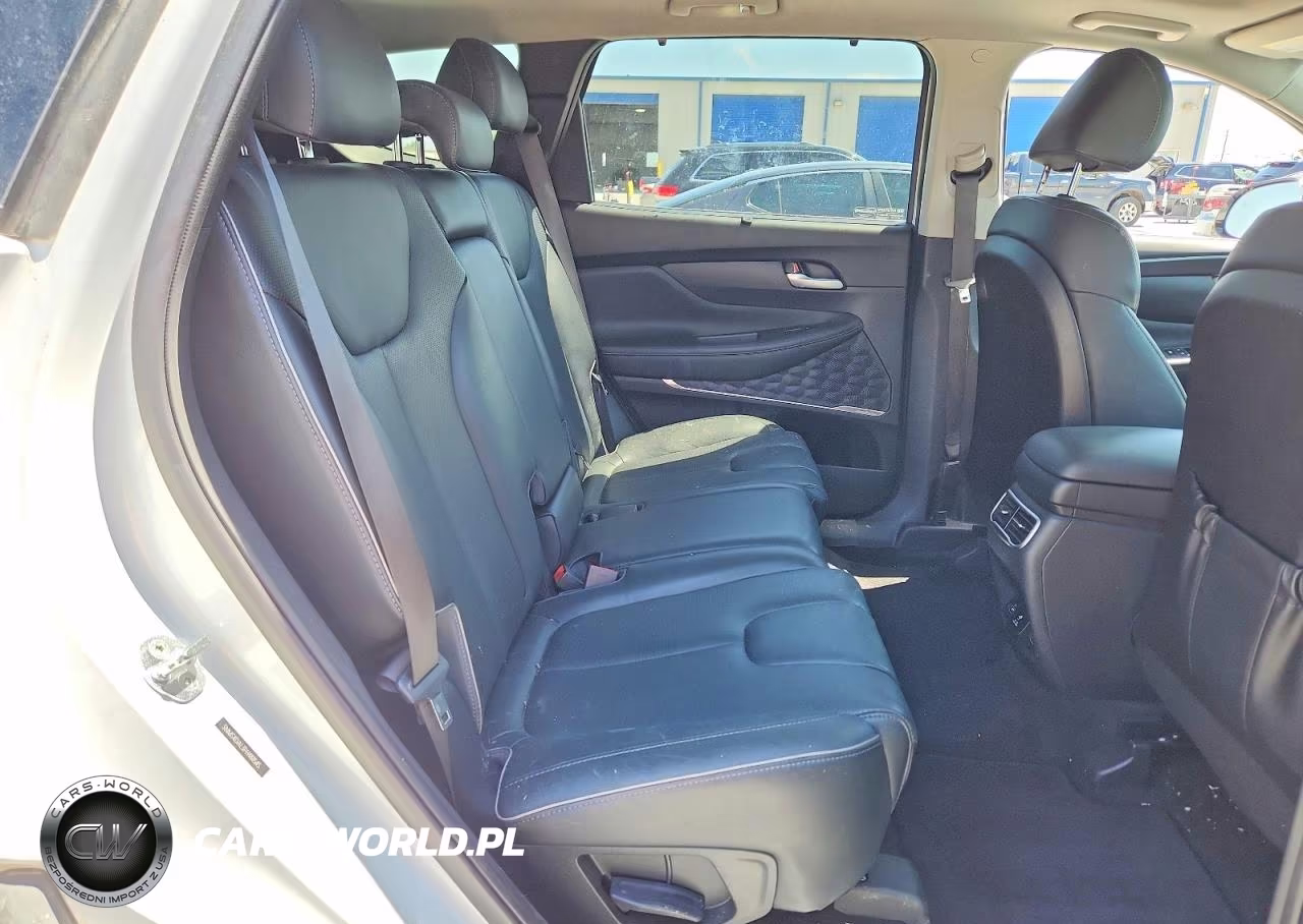 2023 Hyundai Santa Fe Limited VIN:5NMS4DAL3PH488545 - 11