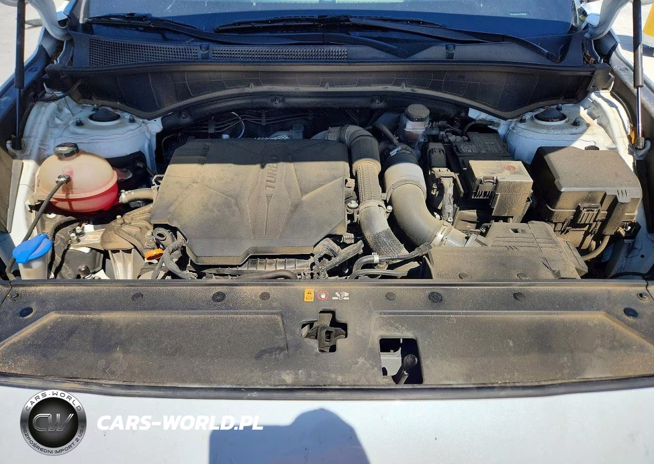 2023 Hyundai Santa Fe Limited VIN:5NMS4DAL3PH488545 - 12