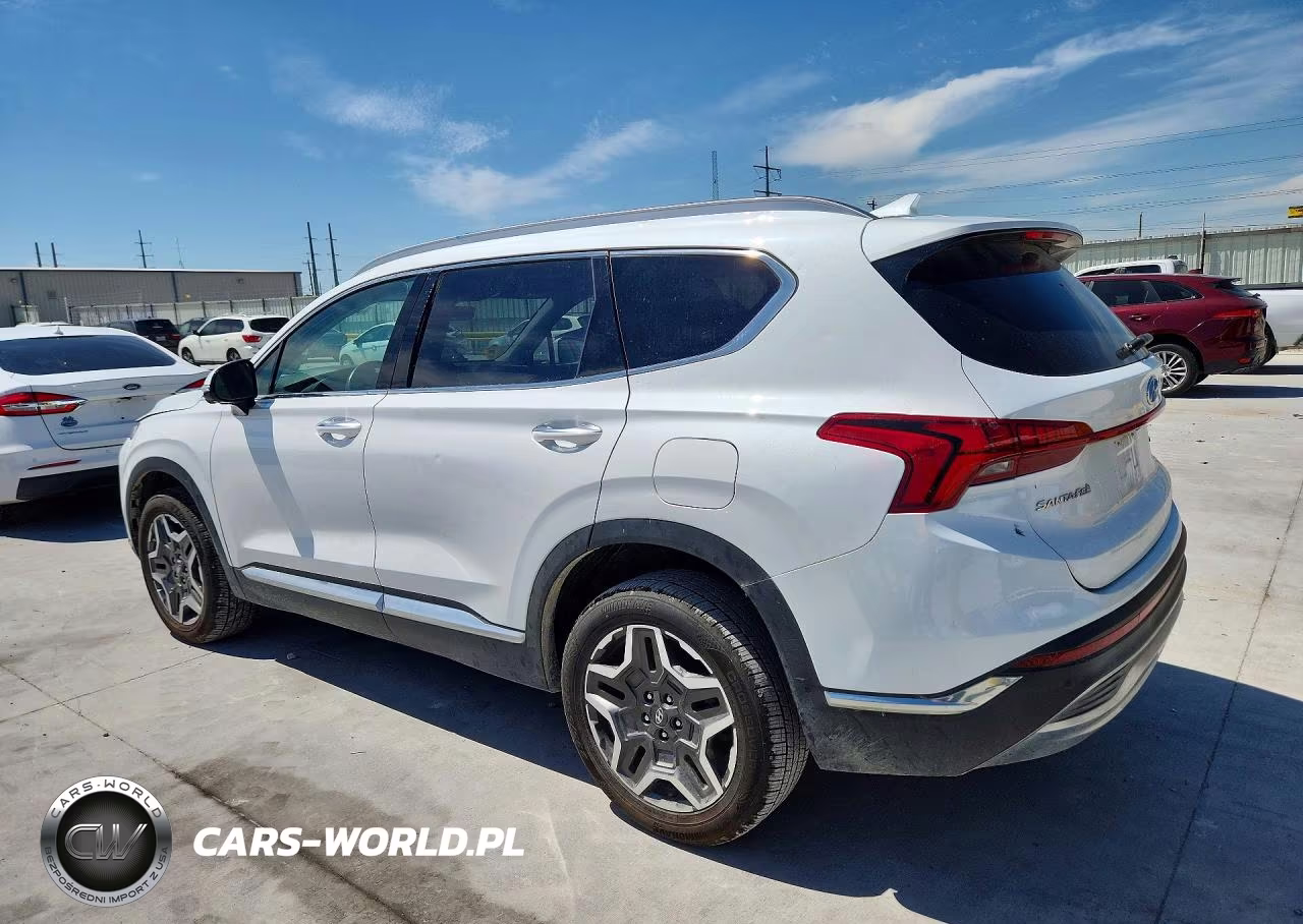 2023 Hyundai Santa Fe Limited VIN:5NMS4DAL3PH488545 - 2